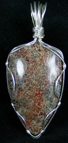 Agatized Dinosaur Bone Pendant - Silver Wire Wrapped #7255
